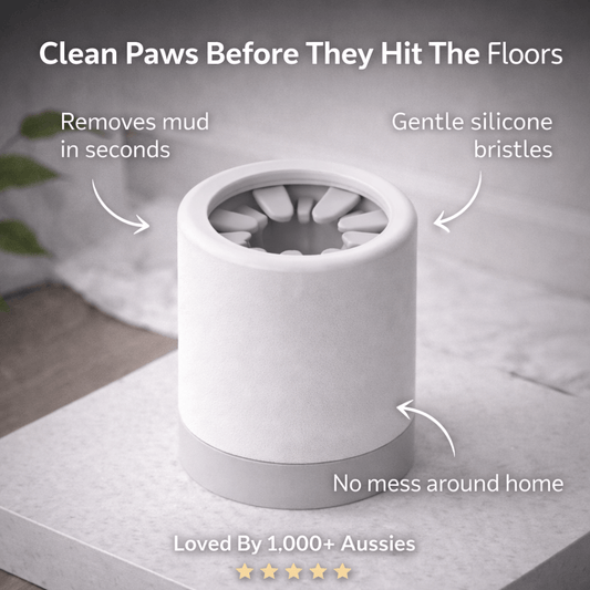 Paw & Place™ - Paw Cleaner