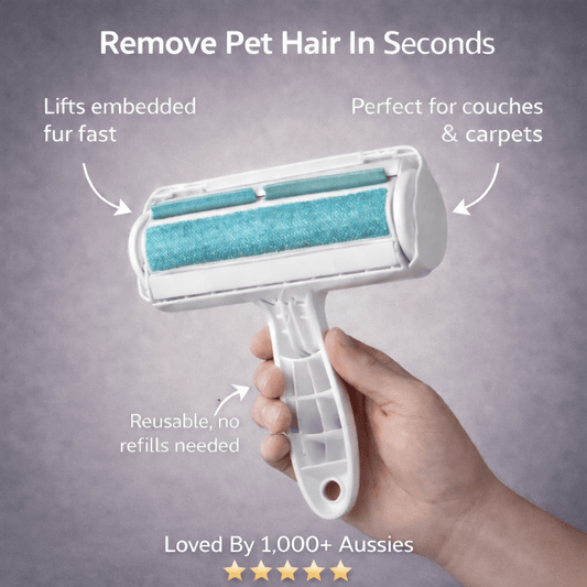 Paw & Place™ Pet Hair Remover