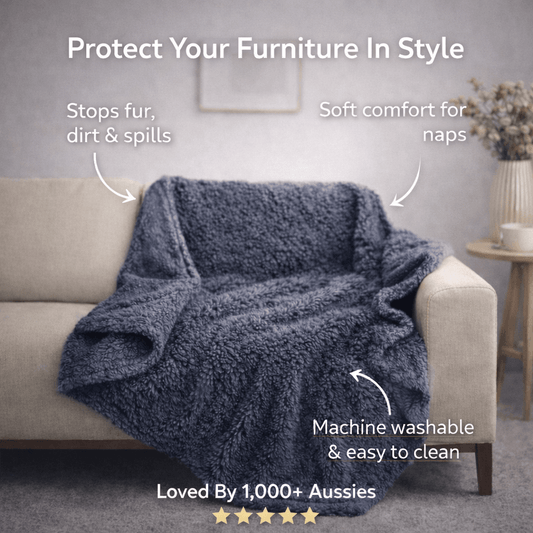 Paw & Place™ Lounge Blanket